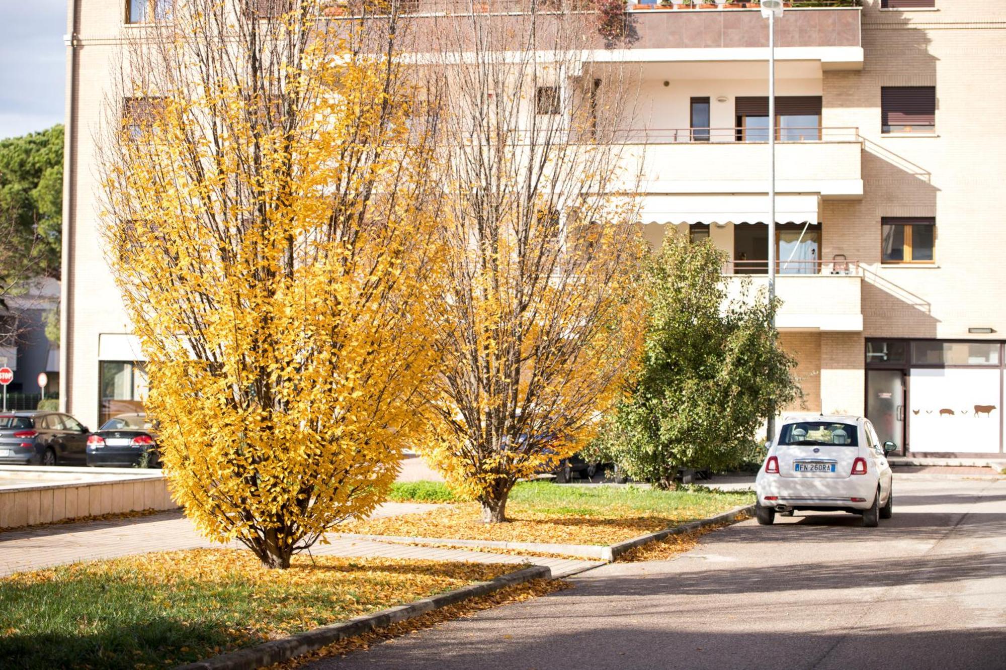 Appartamento Sergio Luxury Centro Parking Free Santa Maria Degli Angeli  Exterior foto